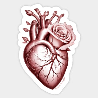 flower power anatomic heart with rose magenta red Sticker